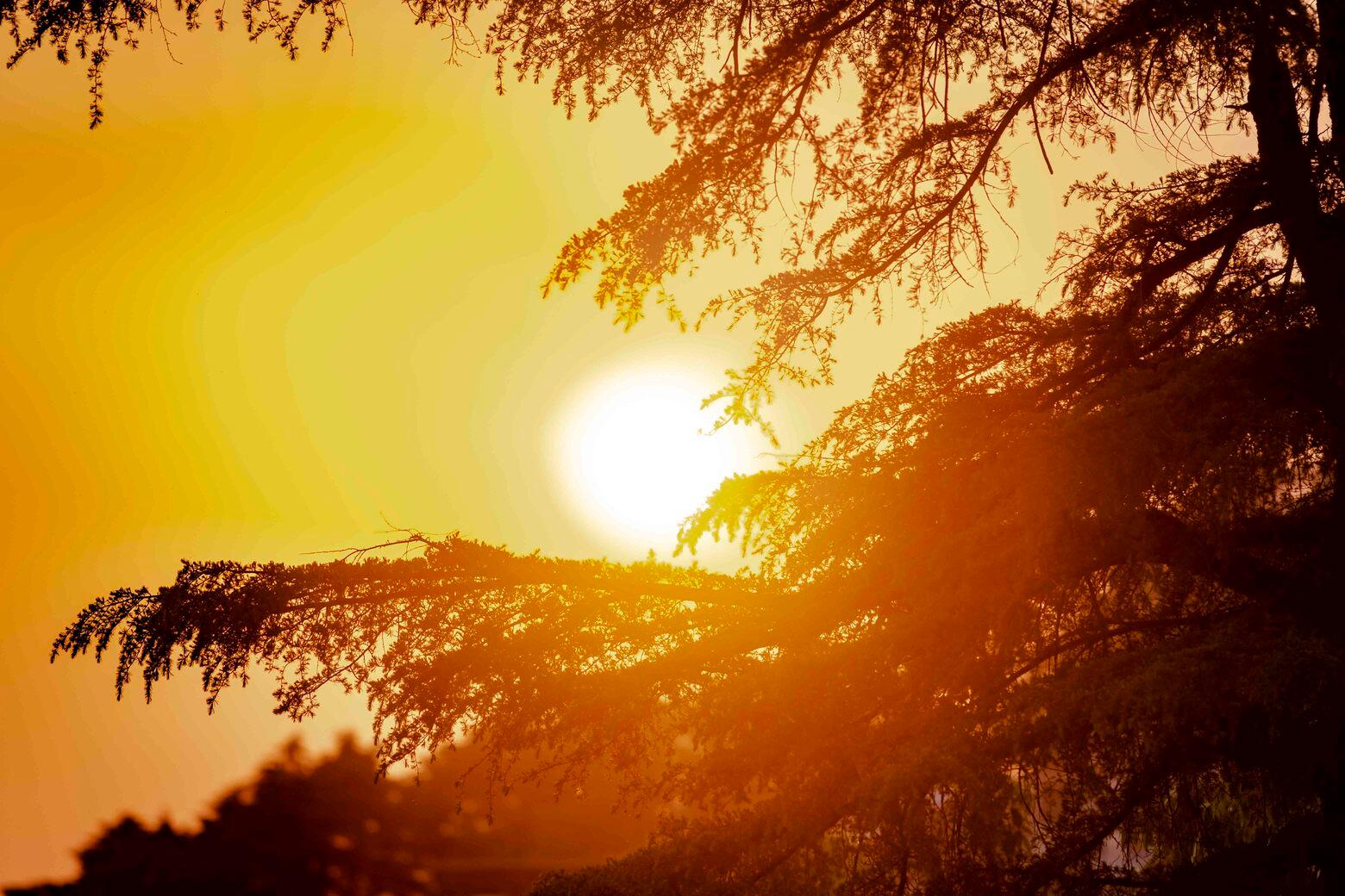Naddi Sunset Point