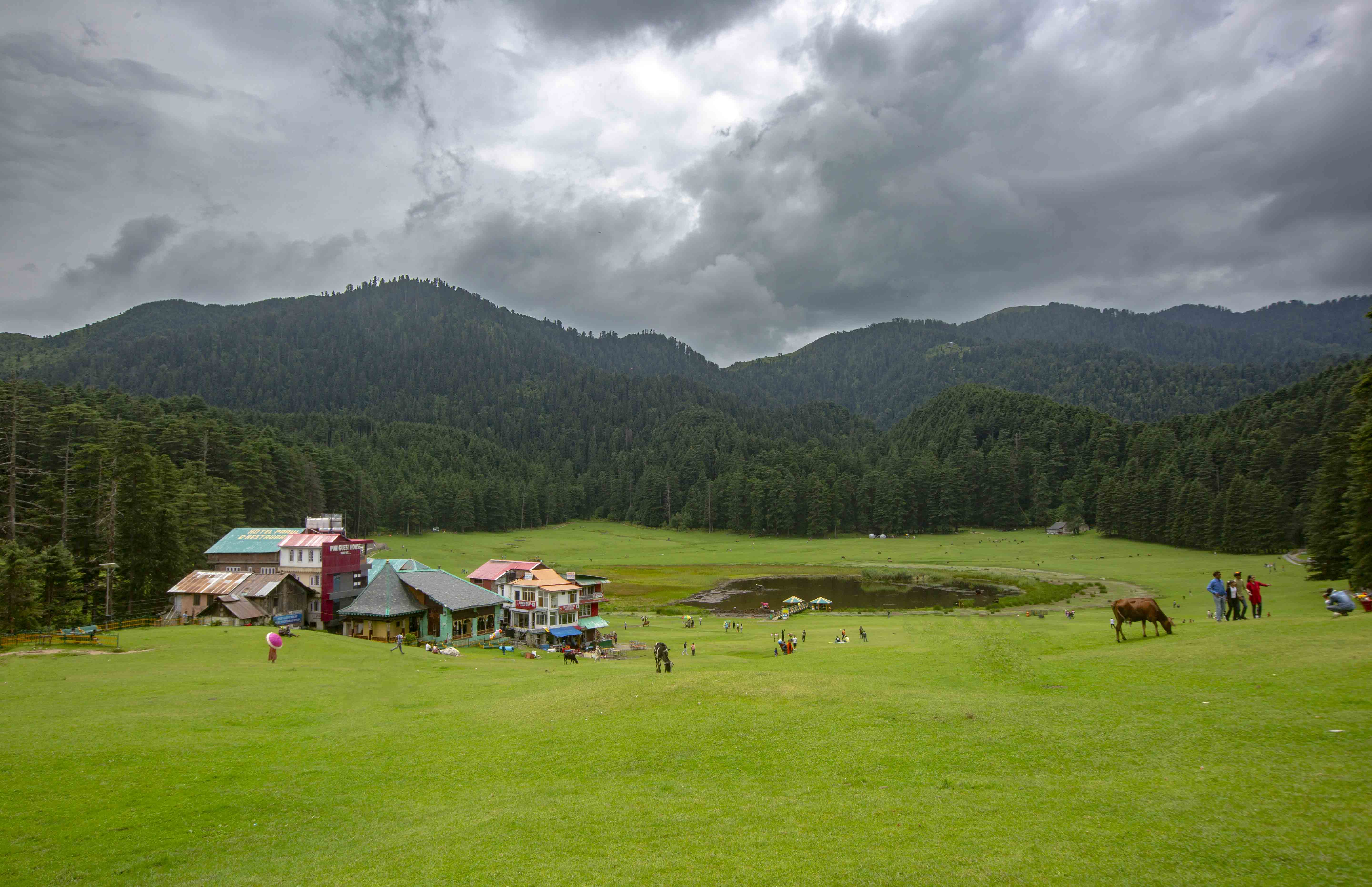 Dalhousie