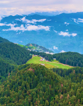 Dalhousie